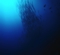 00113.jpg